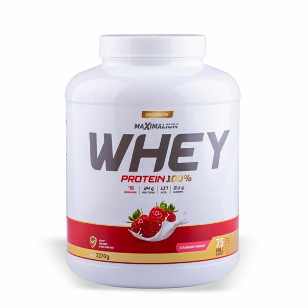 100 % Whey protein cokolada 2,7 KG Jagoda Jogurt